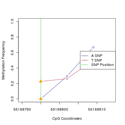 Allele Specific Methylation Frequency Diagram for chr12 55168795 SNP.