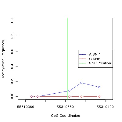 Allele Specific Methylation Frequency Diagram for chr12 55310381 SNP.