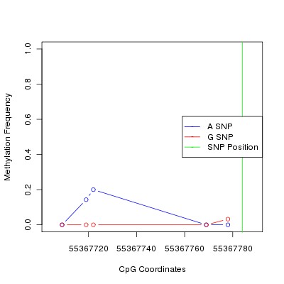 Allele Specific Methylation Frequency Diagram for chr12 55367784 SNP.