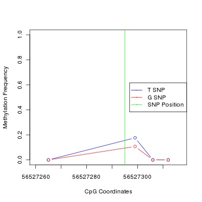 Allele Specific Methylation Frequency Diagram for chr12 56527295 SNP.