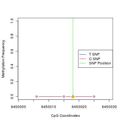 Allele Specific Methylation Frequency Diagram for chr12 6450018 SNP.