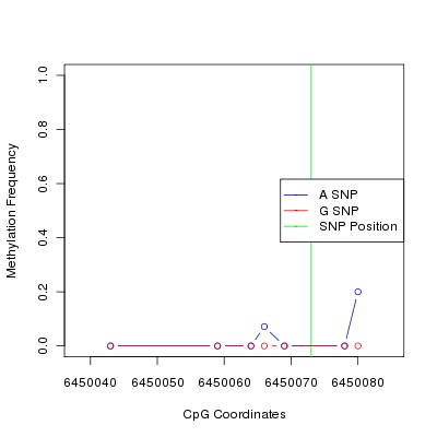 Allele Specific Methylation Frequency Diagram for chr12 6450073 SNP.