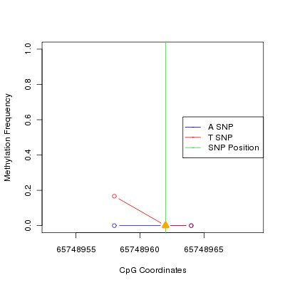 Allele Specific Methylation Frequency Diagram for chr12 65748962 SNP.