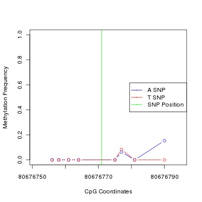 Allele Specific Methylation Frequency Diagram for chr12 80676771 SNP.