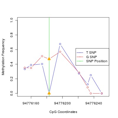 Allele Specific Methylation Frequency Diagram for chr12 94776183 SNP.