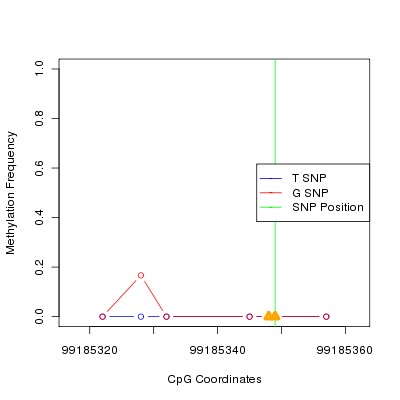 Allele Specific Methylation Frequency Diagram for chr12 99185349 SNP.