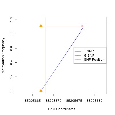 Allele Specific Methylation Frequency Diagram for chr13 85205668 SNP.