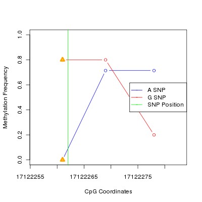 Allele Specific Methylation Frequency Diagram for chr1 17122262 SNP.