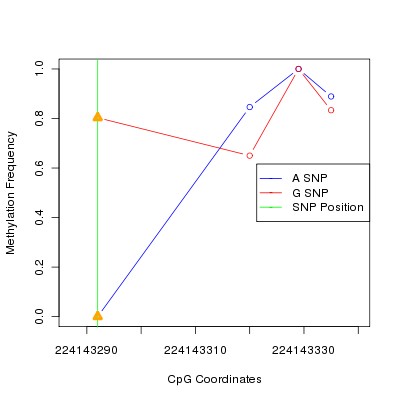 Allele Specific Methylation Frequency Diagram for chr1 224143292 SNP.