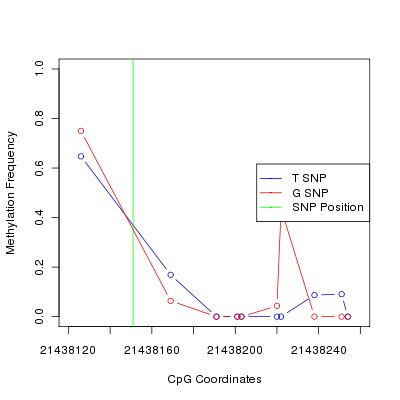 Allele Specific Methylation Frequency Diagram for chr20 21438151 SNP.