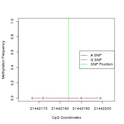Allele Specific Methylation Frequency Diagram for chr20 21442184 SNP.