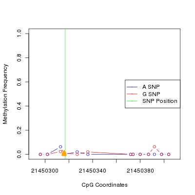 Allele Specific Methylation Frequency Diagram for chr20 21450317 SNP.