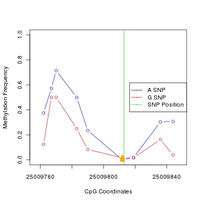 Allele Specific Methylation Frequency Diagram for chr20 25009813 SNP.