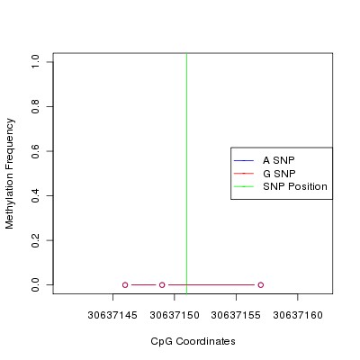 Allele Specific Methylation Frequency Diagram for chr20 30637151 SNP.