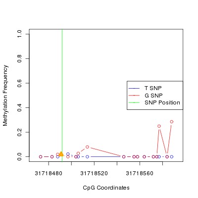 Allele Specific Methylation Frequency Diagram for chr20 31718492 SNP.