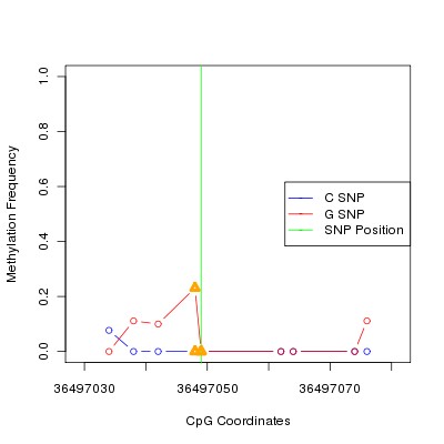 Allele Specific Methylation Frequency Diagram for chr20 36497049 SNP.