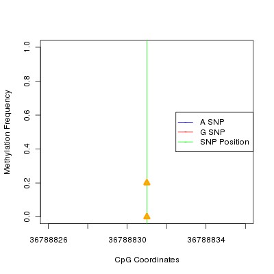 Allele Specific Methylation Frequency Diagram for chr20 36788831 SNP.