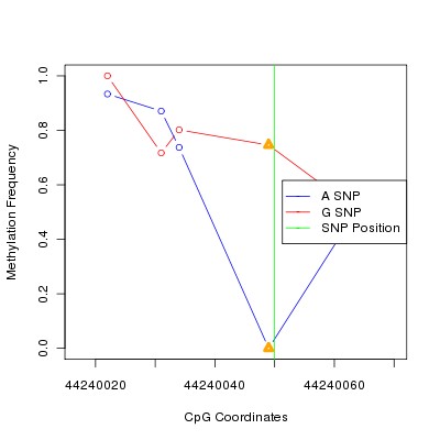 Allele Specific Methylation Frequency Diagram for chr20 44240050 SNP.