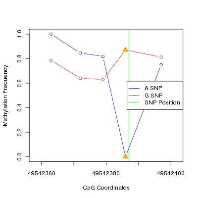 Allele Specific Methylation Frequency Diagram for chr20 49542387 SNP.