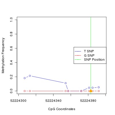 Allele Specific Methylation Frequency Diagram for chr20 52224383 SNP.