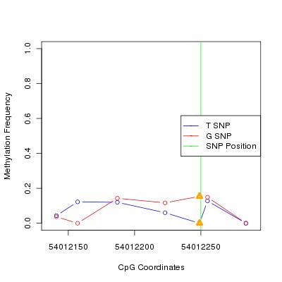 Allele Specific Methylation Frequency Diagram for chr20 54012250 SNP.