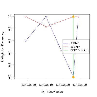 Allele Specific Methylation Frequency Diagram for chr20 59553056 SNP.