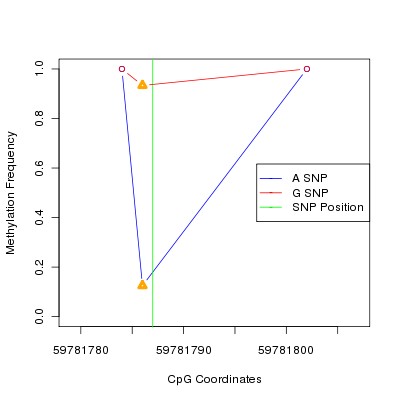 Allele Specific Methylation Frequency Diagram for chr20 59781787 SNP.
