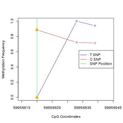 Allele Specific Methylation Frequency Diagram for chr20 59956920 SNP.