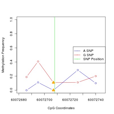Allele Specific Methylation Frequency Diagram for chr20 60072708 SNP.