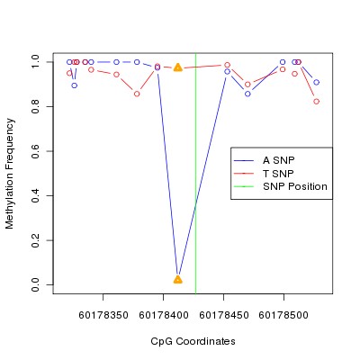 Allele Specific Methylation Frequency Diagram for chr20 60178427 SNP.