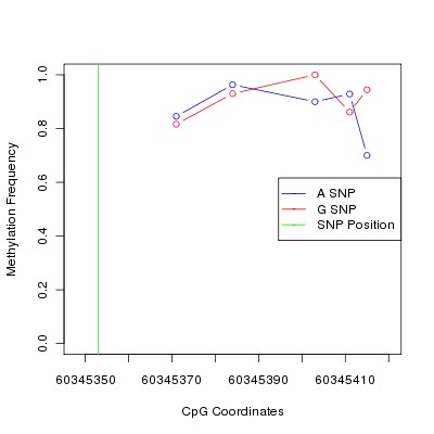 Allele Specific Methylation Frequency Diagram for chr20 60345353 SNP.
