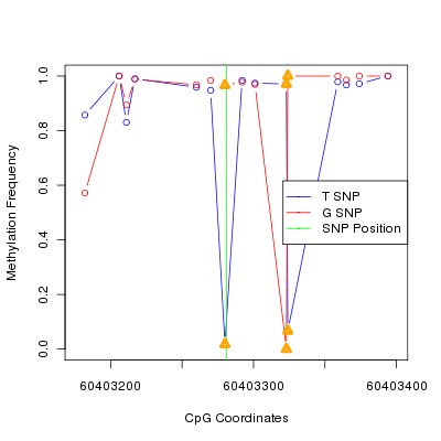 Allele Specific Methylation Frequency Diagram for chr20 60403281 SNP.