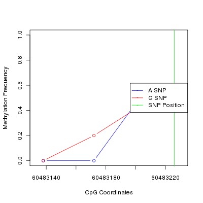 Allele Specific Methylation Frequency Diagram for chr20 60483226 SNP.