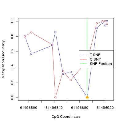 Allele Specific Methylation Frequency Diagram for chr20 61496892 SNP.