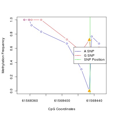 Allele Specific Methylation Frequency Diagram for chr20 61568435 SNP.