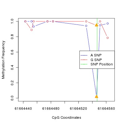 Allele Specific Methylation Frequency Diagram for chr20 61664547 SNP.