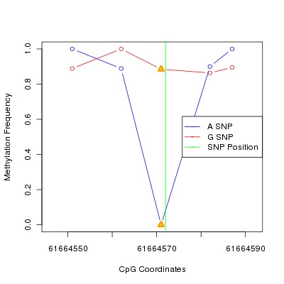 Allele Specific Methylation Frequency Diagram for chr20 61664572 SNP.