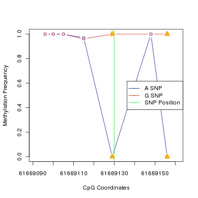 Allele Specific Methylation Frequency Diagram for chr20 61669130 SNP.