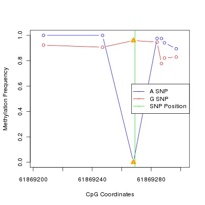 Allele Specific Methylation Frequency Diagram for chr20 61869269 SNP.