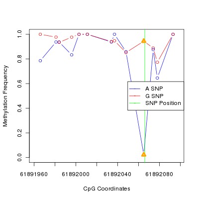 Allele Specific Methylation Frequency Diagram for chr20 61892066 SNP.