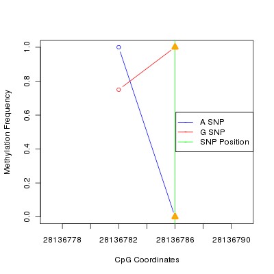 Allele Specific Methylation Frequency Diagram for chr22 28136786 SNP.
