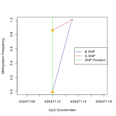Allele Specific Methylation Frequency Diagram for chr22 43047110 SNP.