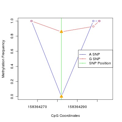 Allele Specific Methylation Frequency Diagram for chr3 158364282 SNP.