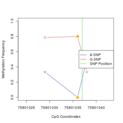 Allele Specific Methylation Frequency Diagram for chr3 75801037 SNP.