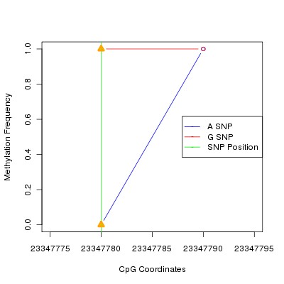 Allele Specific Methylation Frequency Diagram for chr8 23347780 SNP.