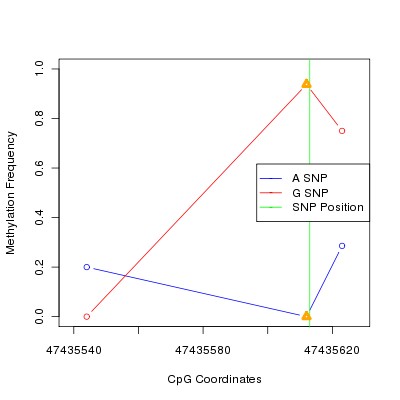 Allele Specific Methylation Frequency Diagram for chr8 47435613 SNP.