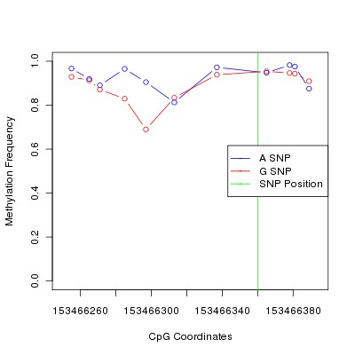 Allele Specific Methylation Frequency Diagram for chrX 153466360 SNP.
