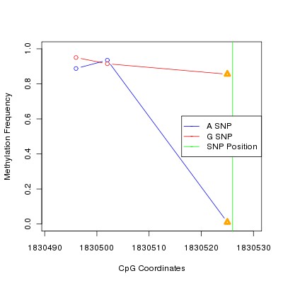 Allele Specific Methylation Frequency Diagram for chr11 1830526 SNP.
