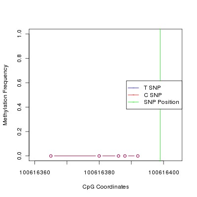 Allele Specific Methylation Frequency Diagram for chr12 100616399 SNP.
