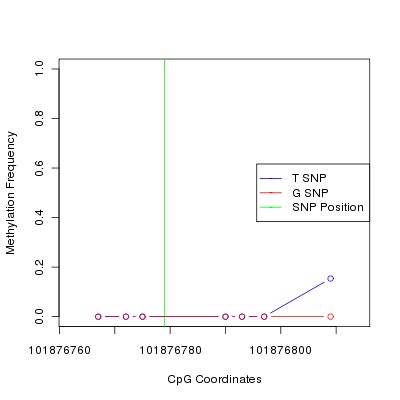 Allele Specific Methylation Frequency Diagram for chr12 101876779 SNP.